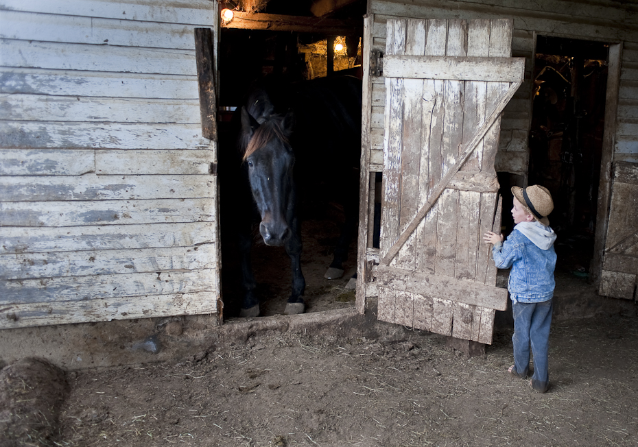 Young Mennonite